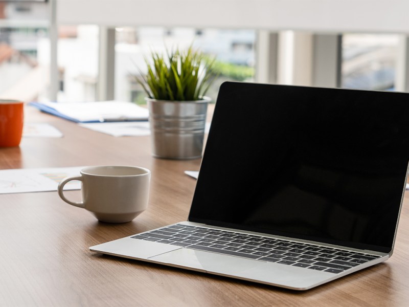 Team Leadership Role